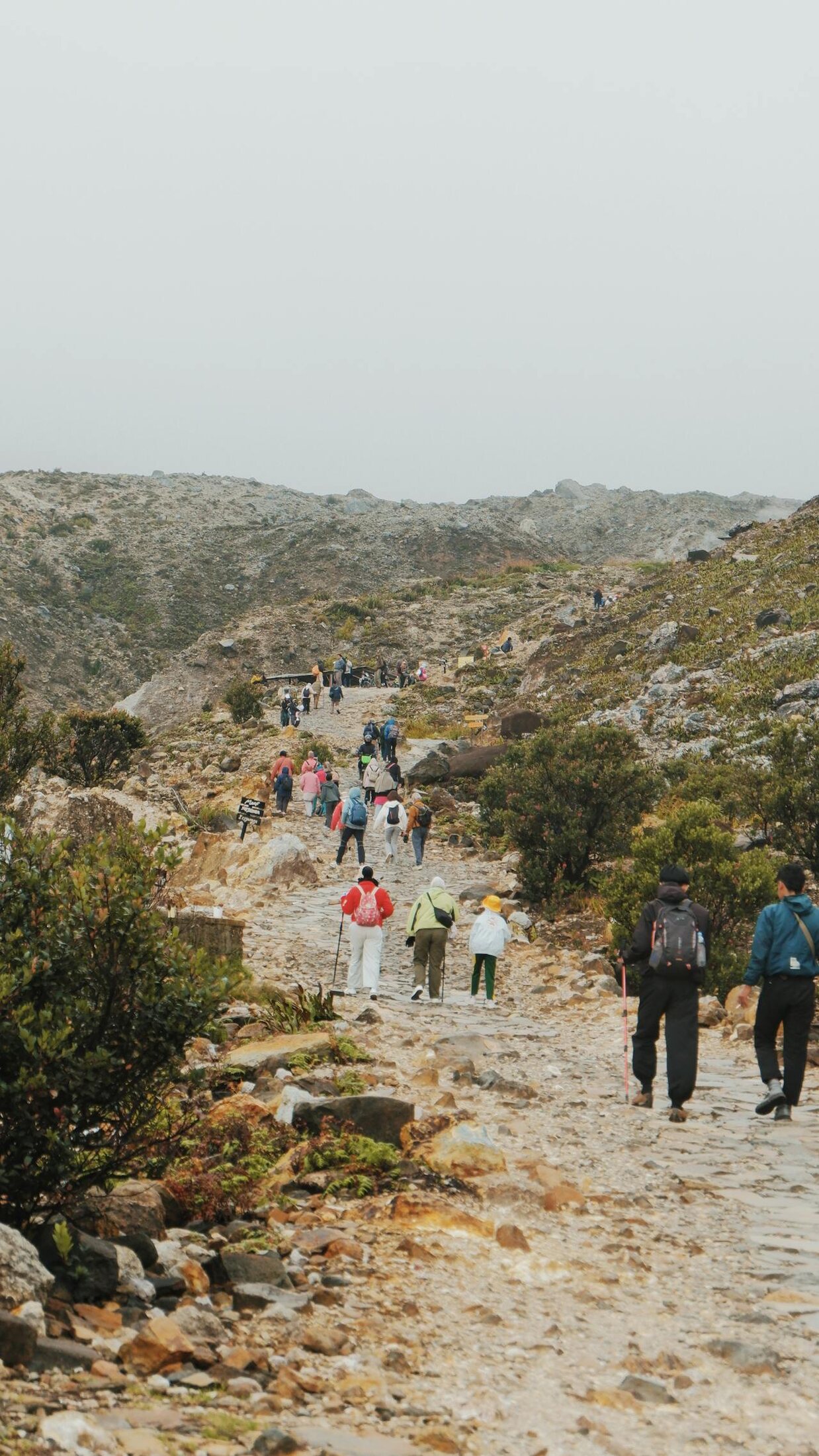kilimanjaro december climbing packages
